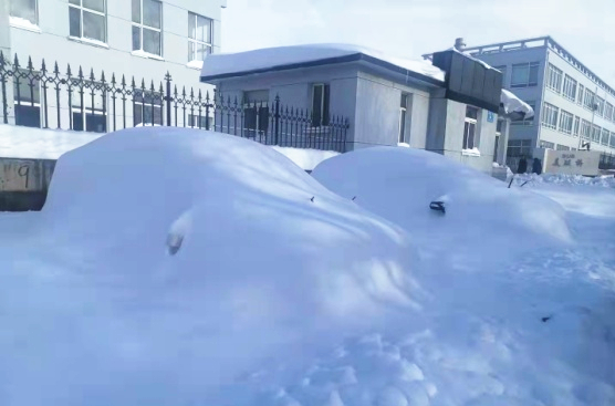 211109 - 暴雪后的99499威尼斯工厂门口_副本.jpg